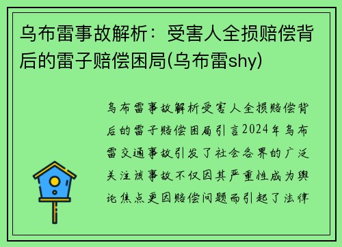 乌布雷事故解析：受害人全损赔偿背后的雷子赔偿困局(乌布雷shy)